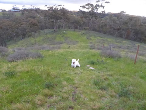 Molly's Chase - Tweed Heads Accommodation 22
