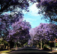 Monaco Court Apartment Adelaide - Tweed Heads Accommodation