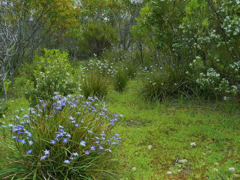 Kestrel Downs - Tweed Heads Accommodation 32