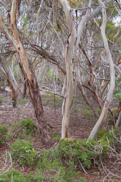 Kestrel Downs - Tweed Heads Accommodation 19