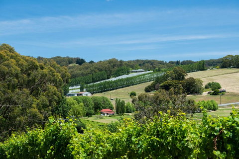 The Other House - Tweed Heads Accommodation 3