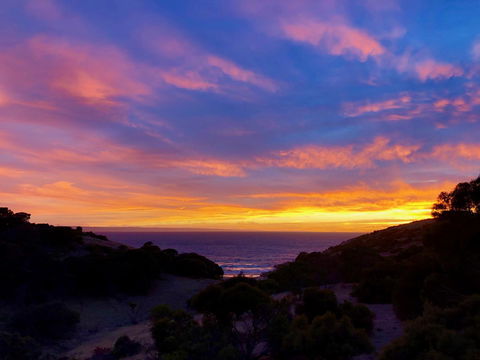 Sea Dragon Kangaroo Island - Tweed Heads Accommodation 14