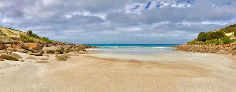 Sea Dragon Kangaroo Island - Tweed Heads Accommodation 16