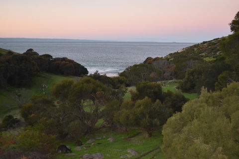 Sea Dragon Kangaroo Island - Tweed Heads Accommodation 30