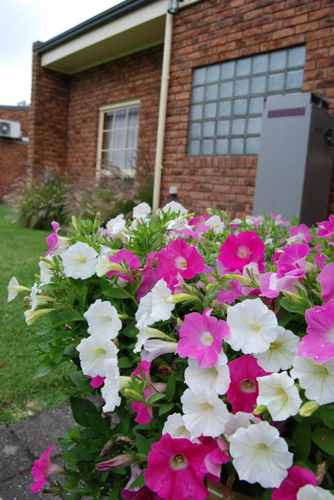 Arkana Motor Inn & Terrace Apartments - Tweed Heads Accommodation 40