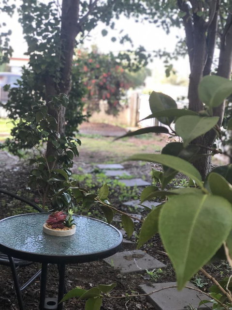 Olive\'s Cottage - Tweed Heads Accommodation 2