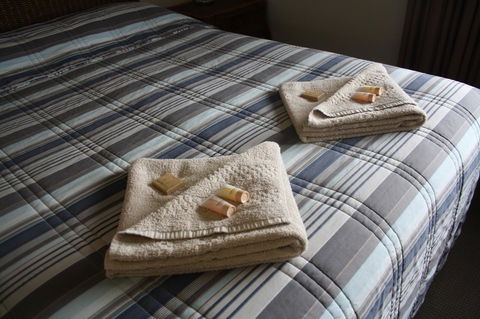 Isis Motel Scone - Tweed Heads Accommodation 3