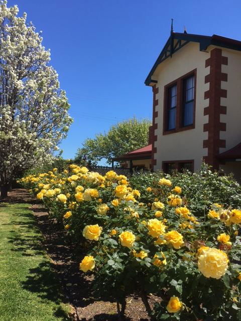 Wine And Roses Bed And Breakfast - Tweed Heads Accommodation 5