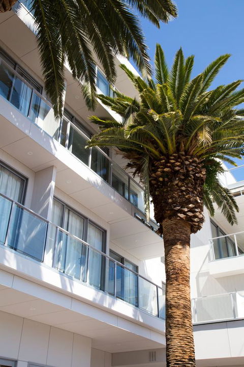 The Palms Apartments - Tweed Heads Accommodation 14