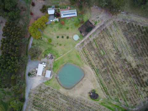 STUDIO ECHUNGA Adelaide Hills - Tweed Heads Accommodation 22