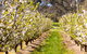 STUDIO ECHUNGA Adelaide Hills - thumb 18