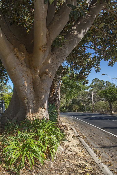 Stoneleigh Cottage Bed And Breakfast - Tweed Heads Accommodation 25