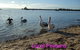 Casuarina Coastal Units - thumb 23