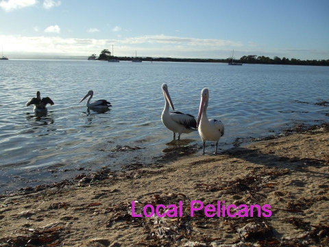 Casuarina Coastal Units - Tweed Heads Accommodation 23