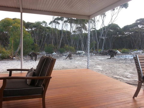 The Island House - Tweed Heads Accommodation 1