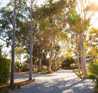 Modra's Apartments - Tweed Heads Accommodation