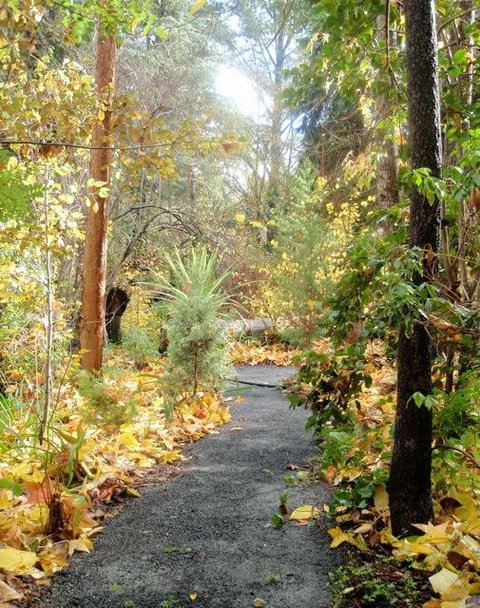 Aldgate Valley Bed And Breakfast - Tweed Heads Accommodation 43