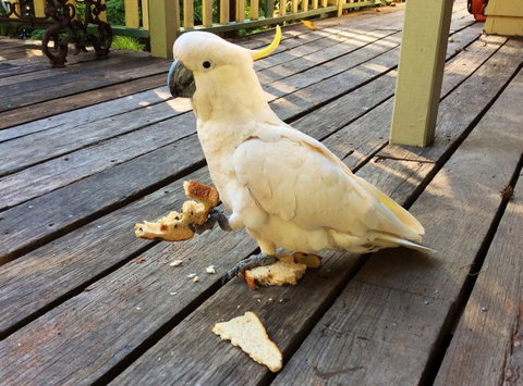 Aldgate Valley Bed And Breakfast - Tweed Heads Accommodation 40