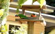 Aldgate Valley Bed And Breakfast - thumb 42