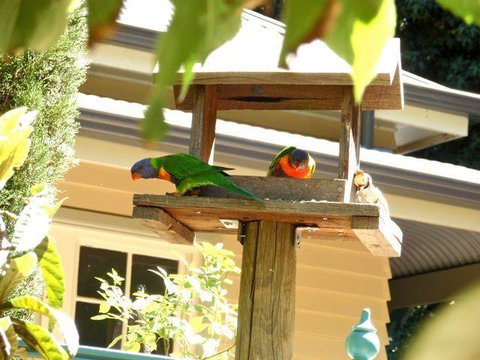 Aldgate Valley Bed And Breakfast - Tweed Heads Accommodation 42