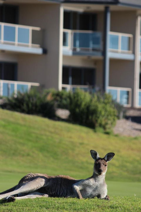 Lady Bay Hotel - Tweed Heads Accommodation 16