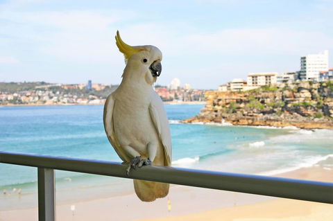 Beachfront Bliss - Tweed Heads Accommodation 23
