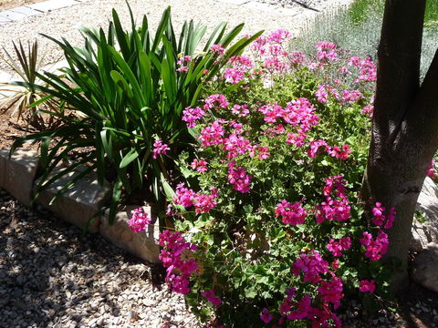 Country Bakehouse Accommodation - Tweed Heads Accommodation 18