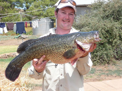 Country Bakehouse Accommodation - Tweed Heads Accommodation 20