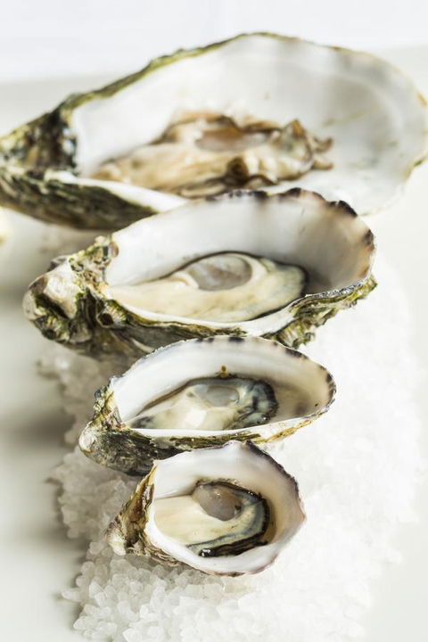 Port Lincoln Hotel - Tweed Heads Accommodation 29