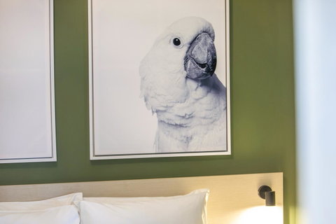 Nightcap At Exeter Hotel - Tweed Heads Accommodation 12
