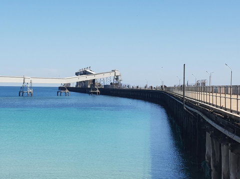 Wallaroo Beachfront Tourist Park - Tweed Heads Accommodation 3