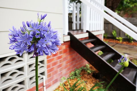 Hudson Bay @ Basin View-Pet Friendly-15 Mins To Hyams Beach - Tweed Heads Accommodation 38