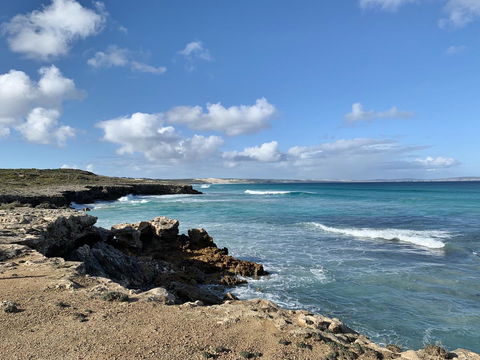 Hilton Beachfront Motel - Tweed Heads Accommodation 6