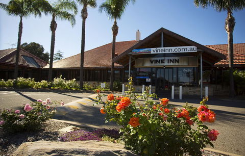 Vine Inn Barossa - Tweed Heads Accommodation 27