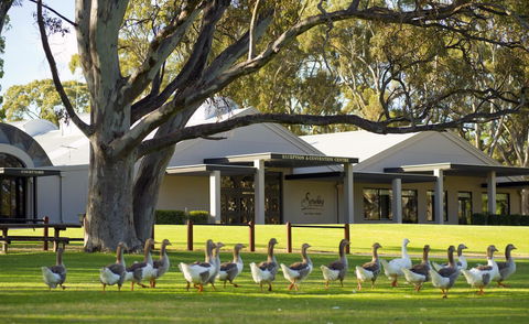 Serafino McLaren Vale - Tweed Heads Accommodation 0