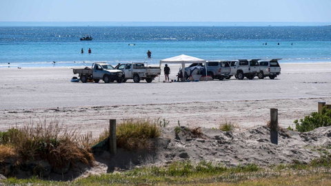 Wallaroo Holiday Park - Tweed Heads Accommodation 9