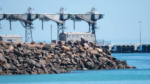 Wallaroo Holiday Park - Tweed Heads Accommodation 6