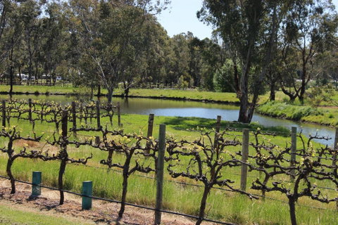 OXENBERRY FARM - Tweed Heads Accommodation 19