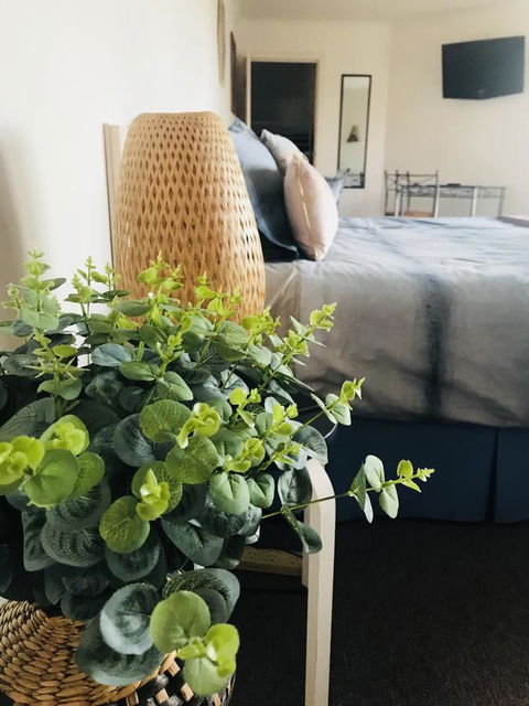 Barossa Valley Studio - Tweed Heads Accommodation 12