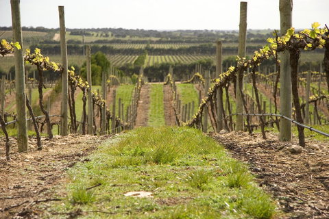 Lakeview Motel And Apartments - Tweed Heads Accommodation 37