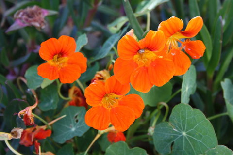 Lakeview Motel And Apartments - Tweed Heads Accommodation 20