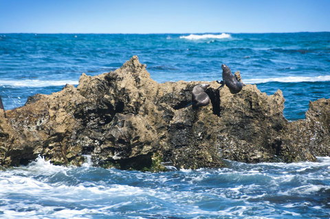 Lakeview Motel And Apartments - Tweed Heads Accommodation 24