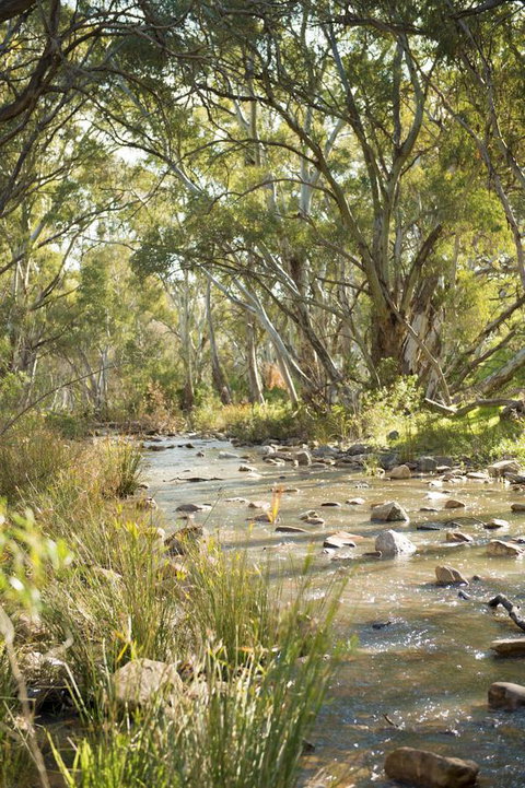 Breakfree Port Pirie - Tweed Heads Accommodation 44