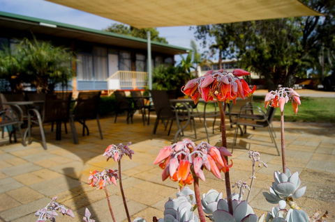 Kangaroo Island Seaview Motel - Tweed Heads Accommodation 3