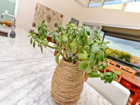 Muse On The Murray - Tweed Heads Accommodation 25