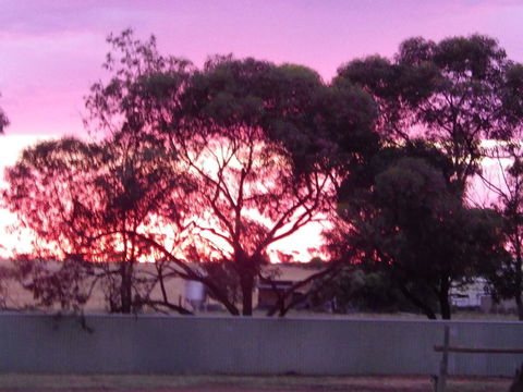 Wudinna Gawler Ranges Motel And Caravan Park - Tweed Heads Accommodation 11