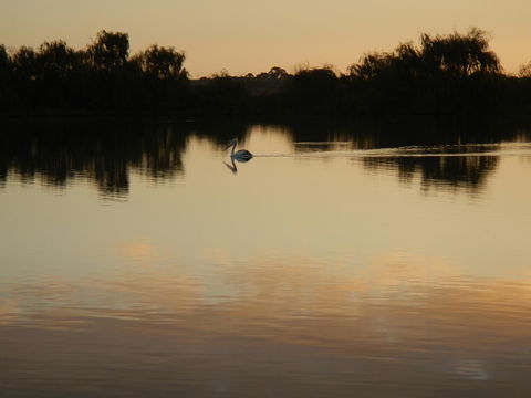 Washpool Retreat - Tweed Heads Accommodation 25