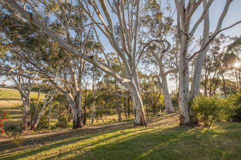 Discovery Parks - Hahndorf - Tweed Heads Accommodation 4
