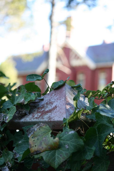 Pirralilla Estate Adelaide Hills - Tweed Heads Accommodation 27