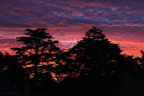 Pirralilla Estate Adelaide Hills - Tweed Heads Accommodation 26